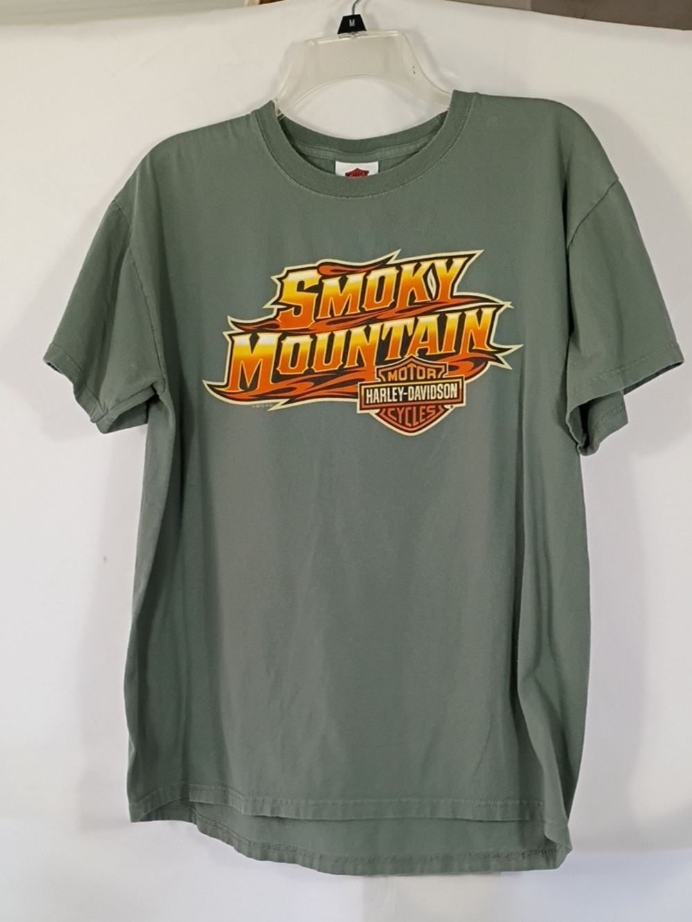 Harley-Davidson Olive Green Smoky Mountain Graphic Short Sleeve Tee 2013 Mens Lg